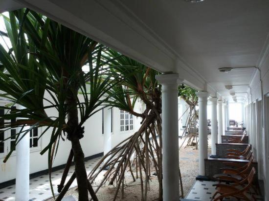 Ap Nippon Beach Hikkaduwa Esterno foto
